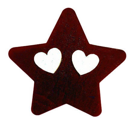 Nav Star